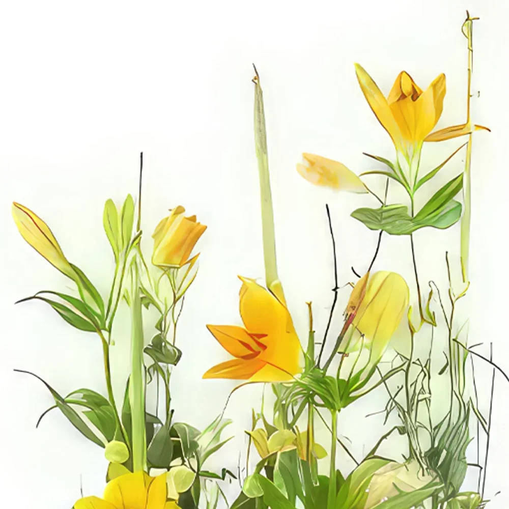 Tarbes bunga- Rangkaian Bunga Jeruk Amarillo Rangkaian bunga karangan bunga