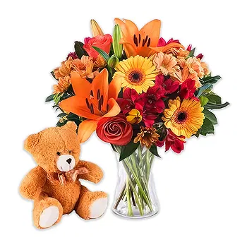 Osidda flowers  -  Bouquet of Orange Flowers and Soft Toys Delivery