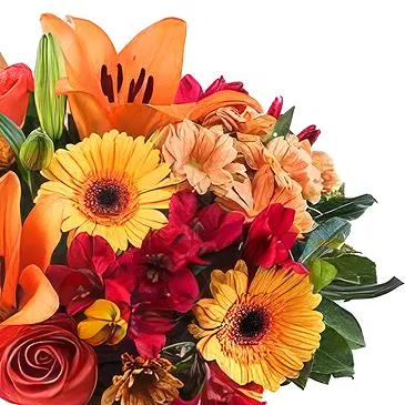 Case Lunghe flowers  -  Bouquet of Orange Flowers and Soft Toys Flower Bouquet/Arrangement