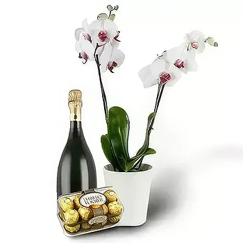 Kravino flowers  -  Orchid and Presents Flower Delivery