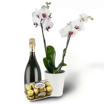 Brestak blomster- Orkidé og gaver Blomst buket/Arrangement