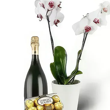 Brestak blomster- Orkidé og gaver Blomst buket/Arrangement
