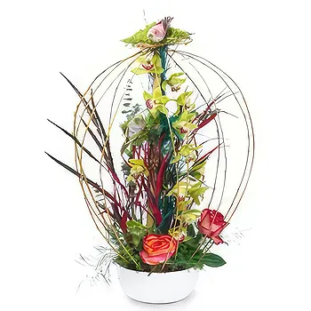 Serbia flowers  -  Orchid Blooms Flower Delivery
