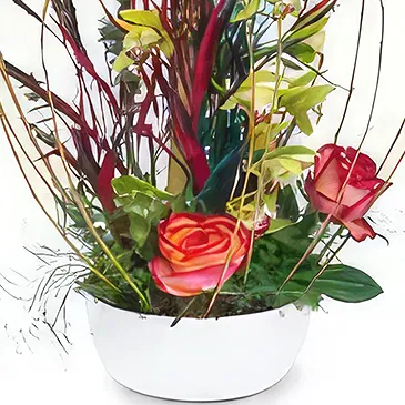 Prokuplje flowers  -  Orchid Blooms Flower Bouquet/Arrangement