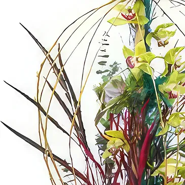 Prokuplje flowers  -  Orchid Blooms Flower Bouquet/Arrangement