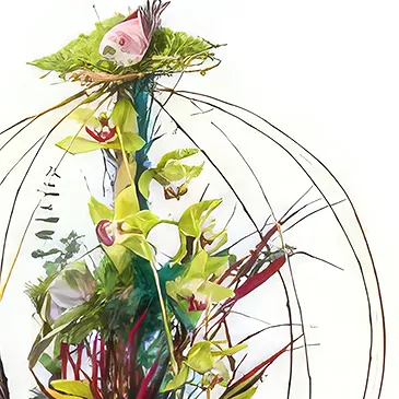 Prokuplje flowers  -  Orchid Blooms Flower Bouquet/Arrangement