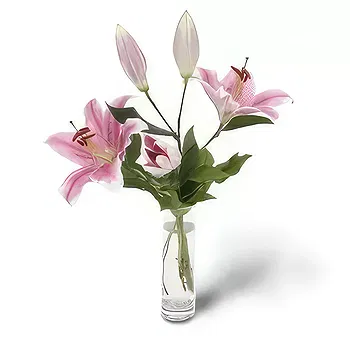 Kravino flowers  -  Monarch butterfly flying Flower Delivery