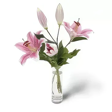بائع زهور Bjal Izvor- فراشة العاهل تحلق باقة الزهور