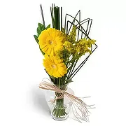Brazil online Florist - Two Gerberas in Vase Bouquet