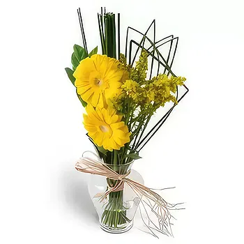 Brazil flowers  -  Two Gerberas in Vase Flower Delivery