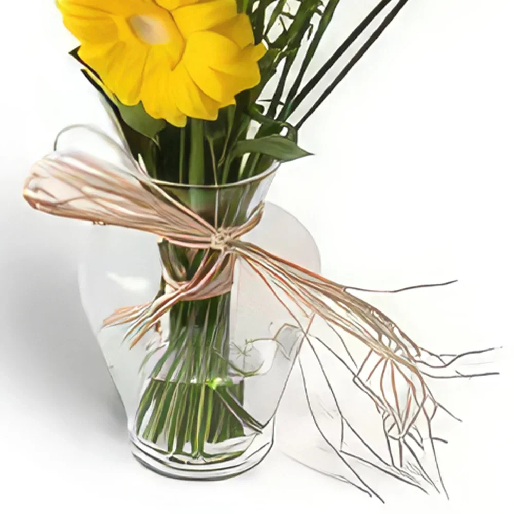 Σαλβαντόρ λουλούδια- Δύο Γκέρμπερας σε Βάζο Μπουκέτο/ρύθμιση λουλουδιών