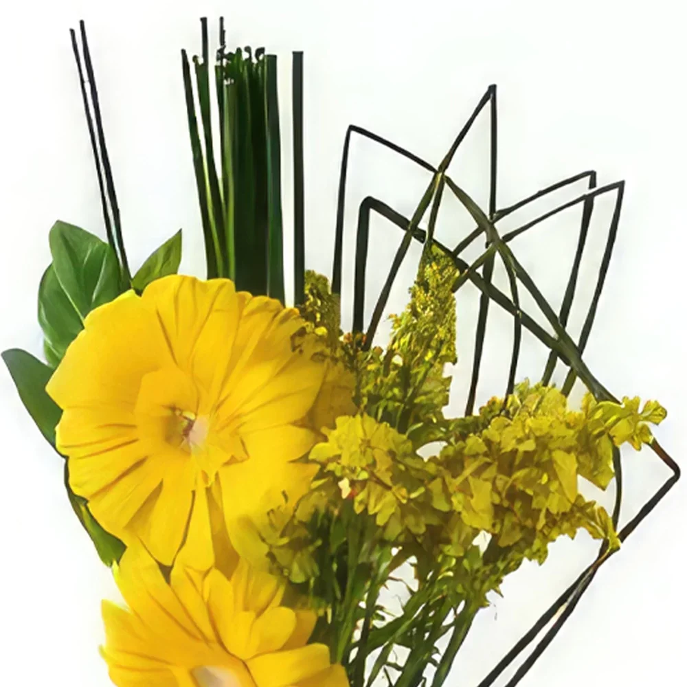 Σαλβαντόρ λουλούδια- Δύο Γκέρμπερας σε Βάζο Μπουκέτο/ρύθμιση λουλουδιών