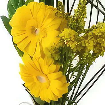 Santa Maria flowers  -  Two Gerberas in Vase Flower Bouquet/Arrangement