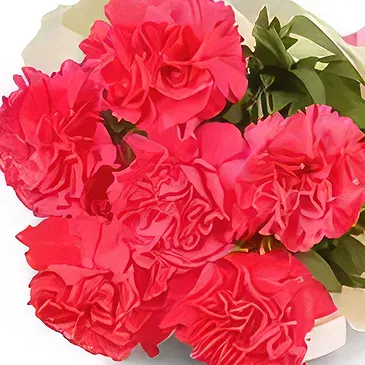 Garhoud flowers  -  Pale Pink Flower Bouquet/Arrangement