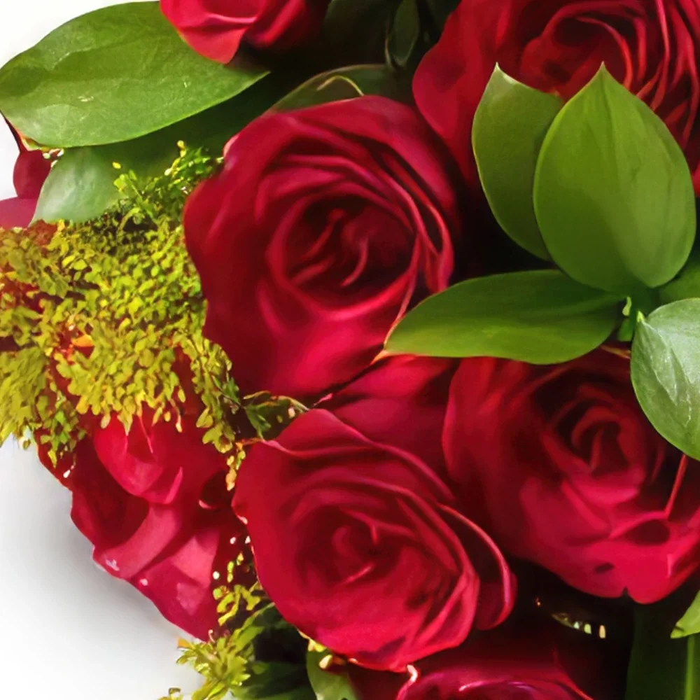 サンパウロ 花- 12本の赤いバラの花束 花束/フラワーアレンジメント