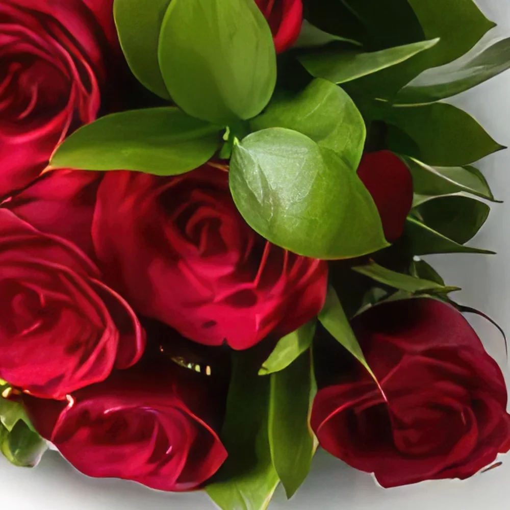 Φορταλέζα λουλούδια- Μπουκέτο από 12 κόκκινα τριαντάφυλλα Μπουκέτο/ρύθμιση λουλουδιών
