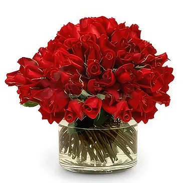 Tây Ninh flowers  -  Simply Red Flower Bouquet/Arrangement