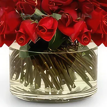 Tây Ninh flowers  -  Simply Red Flower Bouquet/Arrangement