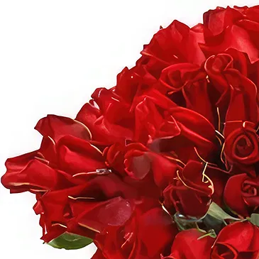 Tây Ninh flowers  -  Simply Red Flower Bouquet/Arrangement