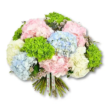 An-Najadah blomster- Pastellhortensiaer med grøntområder Blomsterarrangementer bukett