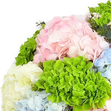 An-Najadah blomster- Pastellhortensiaer med grøntområder Blomsterarrangementer bukett
