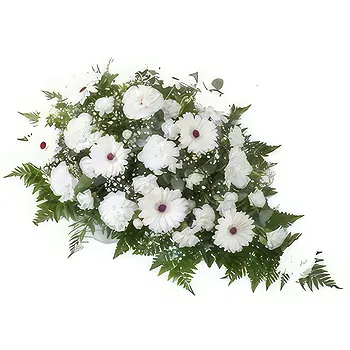 벨레브 돌 꽃- 평화로운 작별 인사 꽃 배달