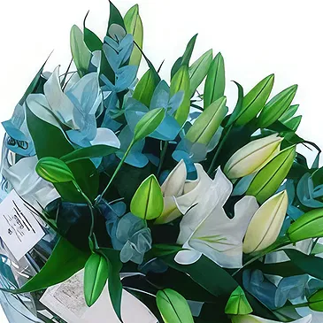 fleuriste fleurs de Niu Blau- Mots humbles Bouquet/Arrangement floral