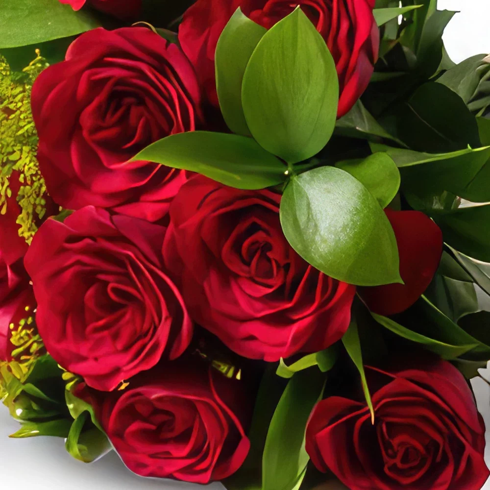 רסיפה פרחים- זר של 12 ורדים אדומים ושוקולד זר פרחים/סידור פרחים