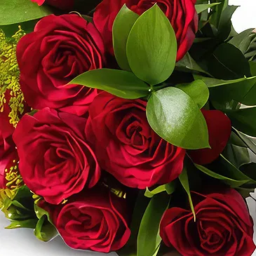 flores de Uberlândia- Buquê de 12 Rosas Vermelhas e Chocolate Bouquet/arranjo de flor