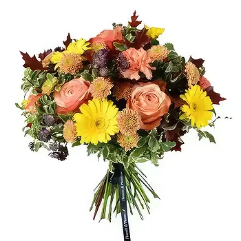 United Kingdom flowers  -  Orange Bloom Medley Flower Delivery