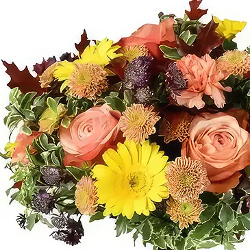 Taunton flowers  -  Orange Bloom Medley Flower Bouquet/Arrangement