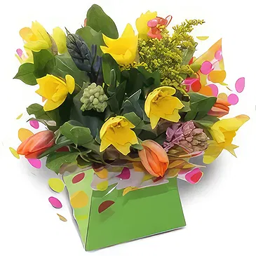 Palia Ampelia flowers  -  Spring City Container Flower Bouquet/Arrangement