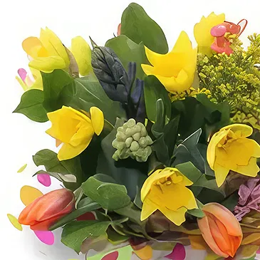 Palia Ampelia flowers  -  Spring City Container Flower Bouquet/Arrangement