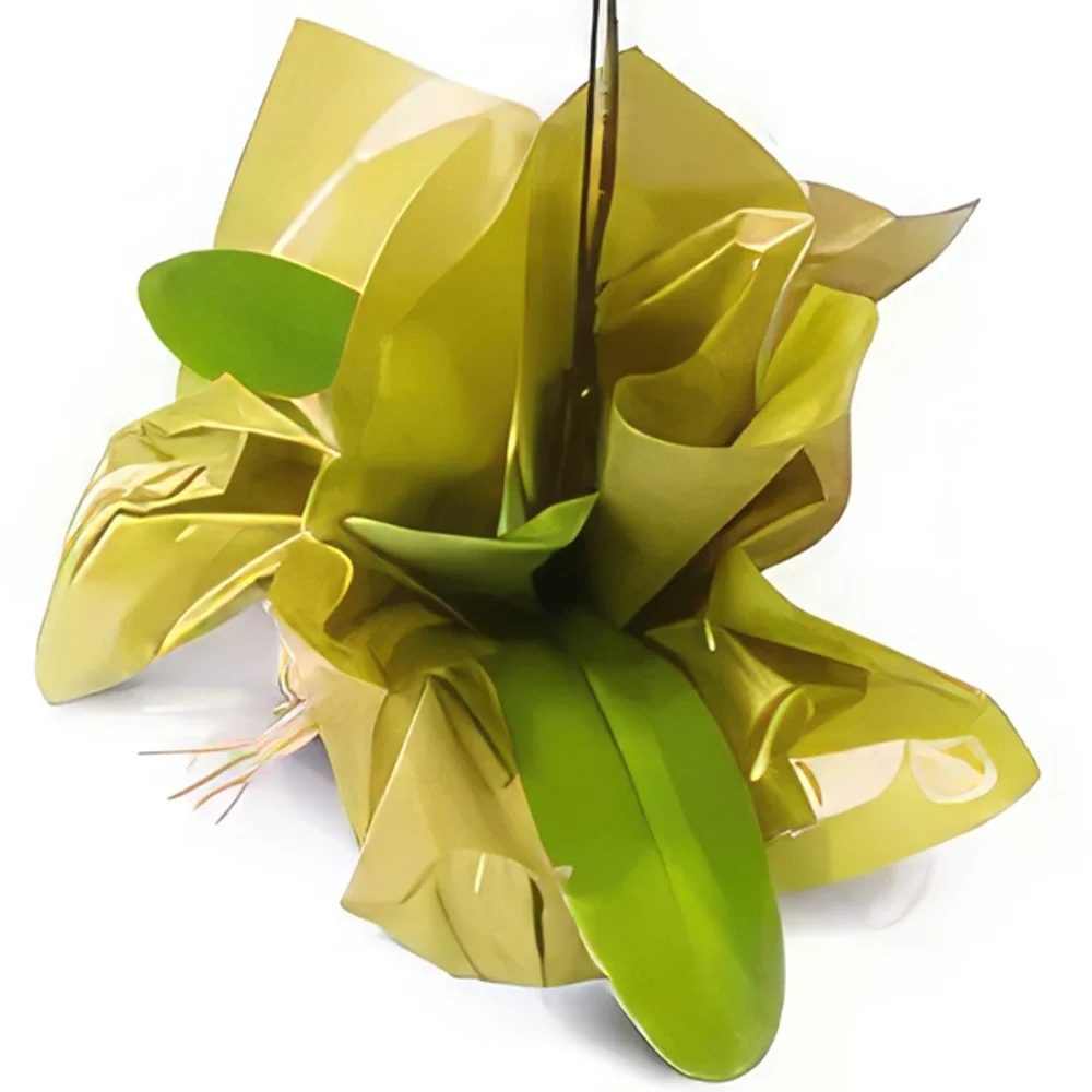 רסיפה פרחים- סחלב פלנופסיס מתנה זר פרחים/סידור פרחים