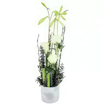 France flowers  -  Philadelphia white & green composition Flower Delivery
