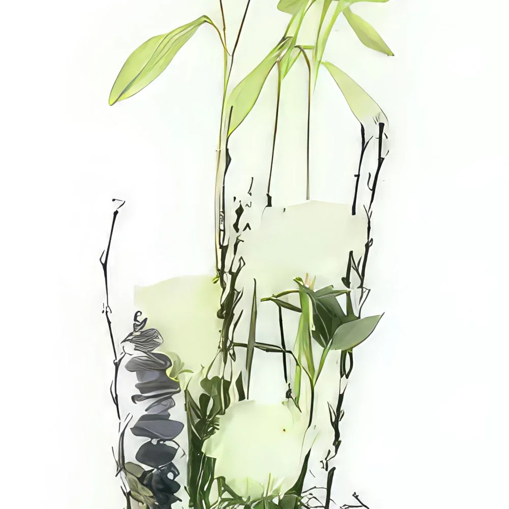 Tarbes цветя- Бяла и зелена композиция Филаделфия Букет/договореност цвете