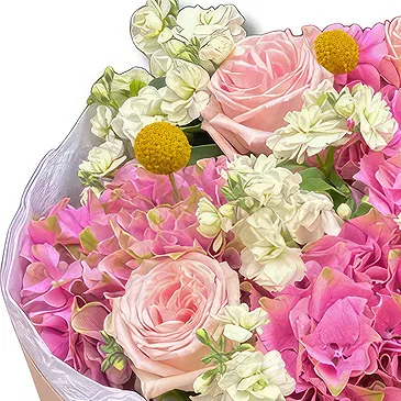 Garhoud flowers  -  Pink and White Fresh Mixed Flower Bouquet Flower Bouquet/Arrangement