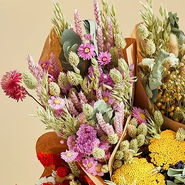 Wiener Neustadt Blumen Florist- XL Naturrosa Blumenstrauß Bouquet/Blumenschmuck