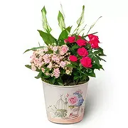 Budapest online Florist - Pink Room - Planting Plants Bouquet