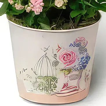 Budapest flowers  -  Pink Room - Planting Plants Flower Bouquet/Arrangement