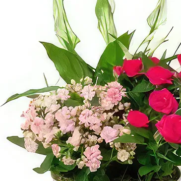Budapest flowers  -  Pink Room - Planting Plants Flower Bouquet/Arrangement