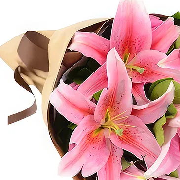 Prokuplje flowers  -  Pink Magic Flower Bouquet/Arrangement
