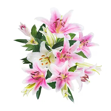 Italy flowers  -  Bouquet of Pink Lilies Flower Bouquet/Arrangement