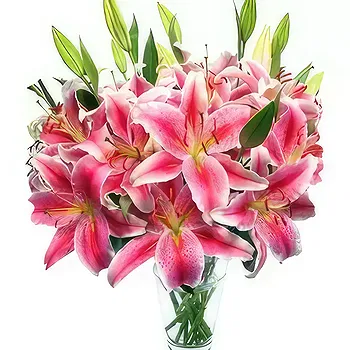 flores Kagoshima floristeria -  Bastante rosa Ramos de  con entrega a domicilio