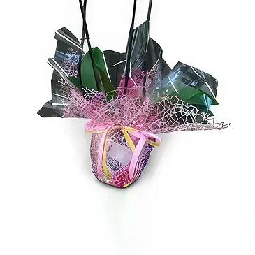 Valença flowers  -  Flawless Flower Bouquet/Arrangement