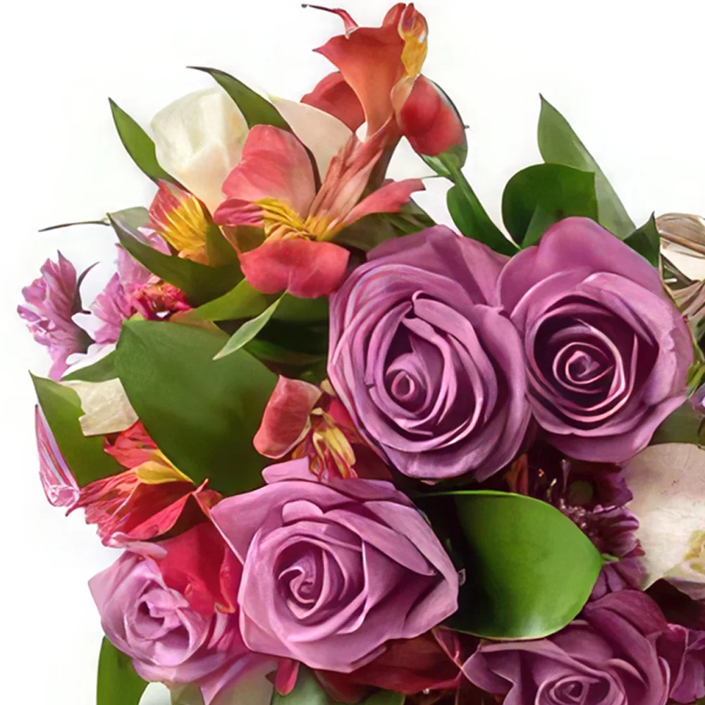 Salvador kukat- Kukkakimppu vaaleanpunaisilla sävyillä Kukka kukkakimppu