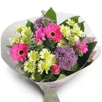 Antias flowers  -  Passionate Pink Flower Delivery