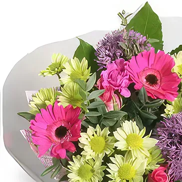 Palia Ampelia flowers  -  Passionate Pink Flower Bouquet/Arrangement