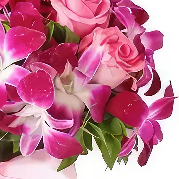 Dubai Marina Blumen Florist- Rosa Purpur Bouquet/Blumenschmuck