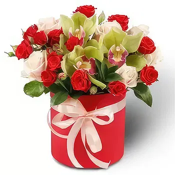 Kravino flowers  -  Creature Flower Delivery